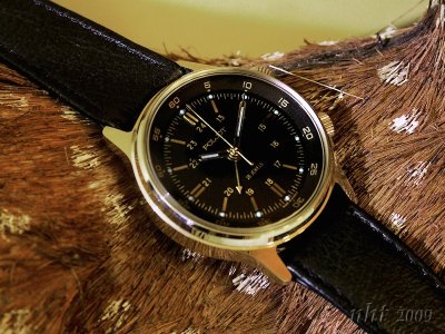 Poljot Alarm Gold Case.jpg