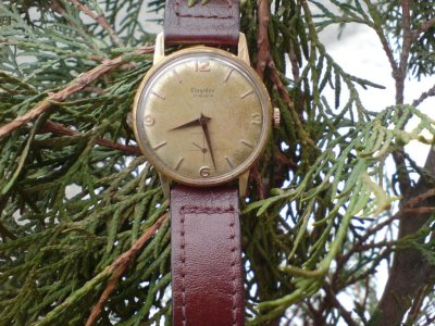 magalex1.jpg magalex1.jpg