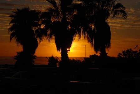 DSC_0784 (Small).JPG