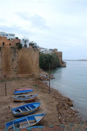 DSC_1307 (Small).JPG