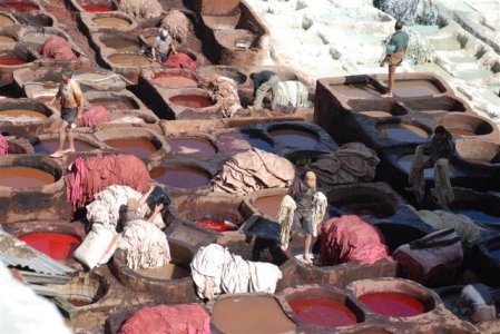 DSC_2359 (Small).JPG