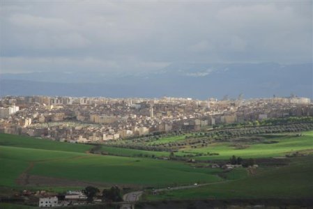 DSC_2586 (Small).JPG