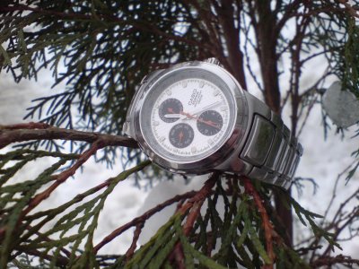 DSC04687.jpg DSC04687.jpg