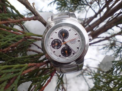 DSC04689.jpg DSC04689.jpg