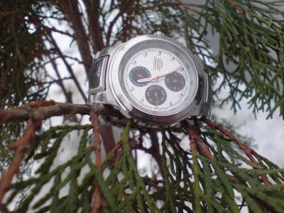 DSC04690.jpg DSC04690.jpg