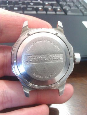 amphibia 002.jpg amphibia 002.jpg