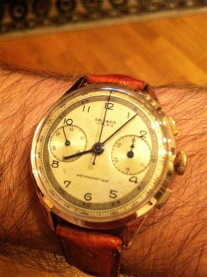 @Splendid IMG_2584 (Medium).jpg