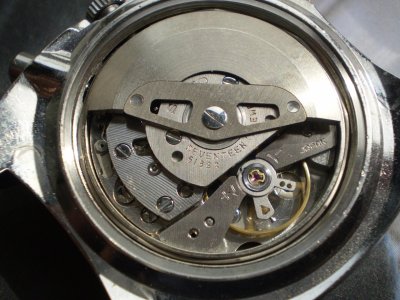 P3290006.jpg P3290006.jpg