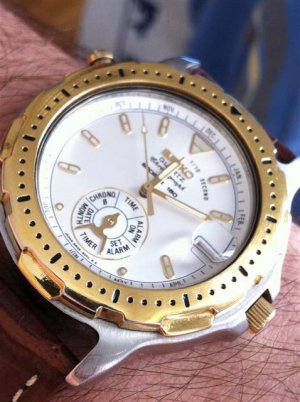 1Seiko IMG _0088 (Small).jpg