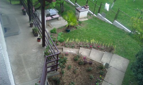 IMAG0705.jpg IMAG0705.jpg