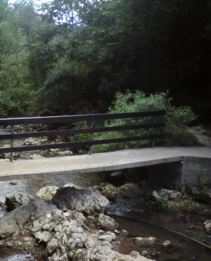 DSC00394.JPG DSC00394.JPG