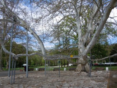 DSCN1568 (Medium).JPG