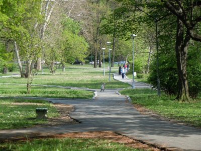 DSCN1704 (Medium).JPG