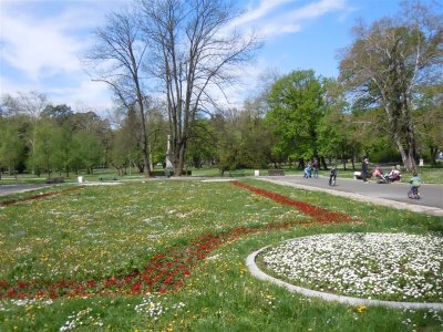 DSCN1788 (Medium).JPG