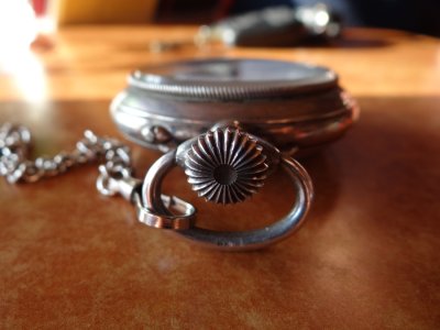 DSC01781 brevet net.jpg