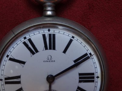 DSC01788 omega net.jpg