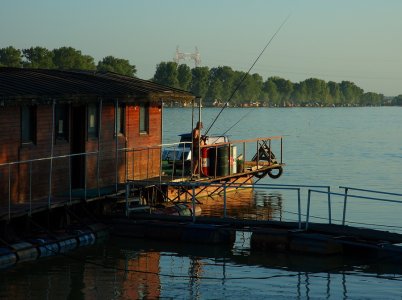 DSC_0303crop net.jpg