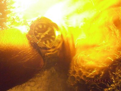 monster u grotlu.jpg