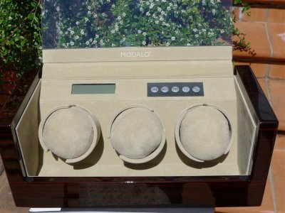 2L1040479 (Medium).JPG