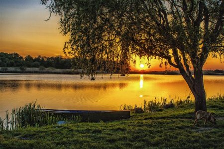 IMG_0853 ob (Small).jpg