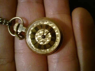 čajka p.jpg čajka p.jpg