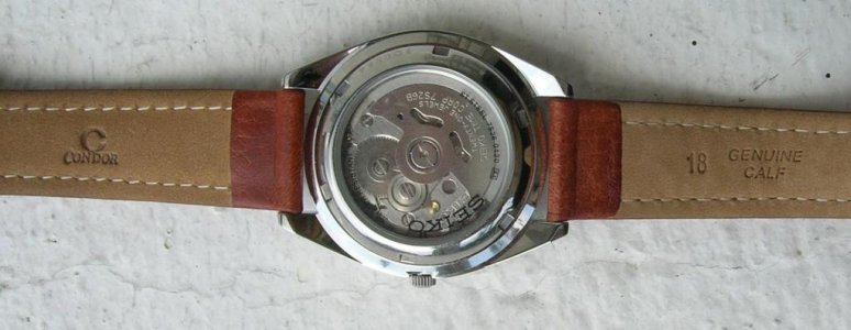 seiko 5.jpg