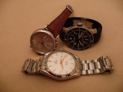 Vesela_tojka.jpg Vesela_tojka.jpg