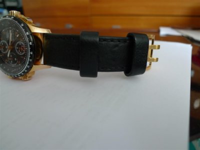 4L1020523 (Large).JPG