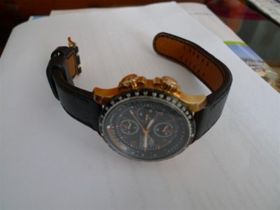 1L1020508 (Large).JPG