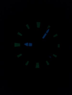 citizen automatic 009.jpg