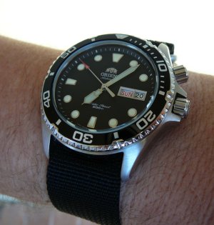 Orient Ray 23-11-2011 2.jpg