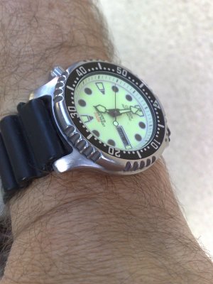 08062012074.jpg 08062012074.jpg