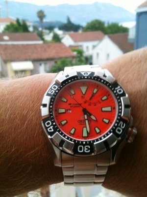 fotografija (40).JPG