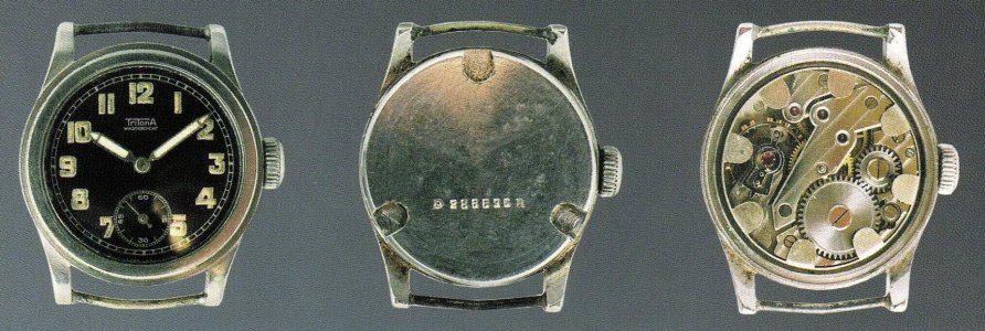 Tritona.jpg Tritona.jpg