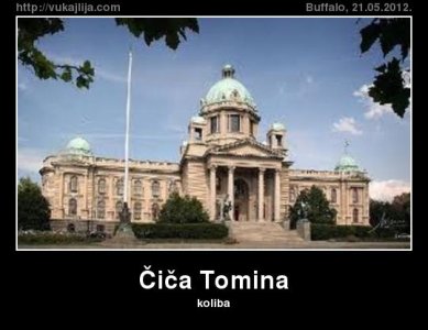 3 cica-tomina.jpg