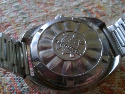 270720121209.jpg 270720121209.jpg