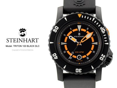 SteinhartTriton100DL.jpg