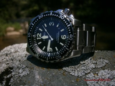 spork u divljini.jpg