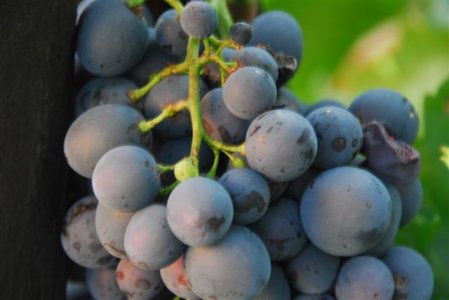 1_DSC8200 (Small).JPG