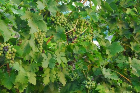 1_DSC8269 (Small).JPG