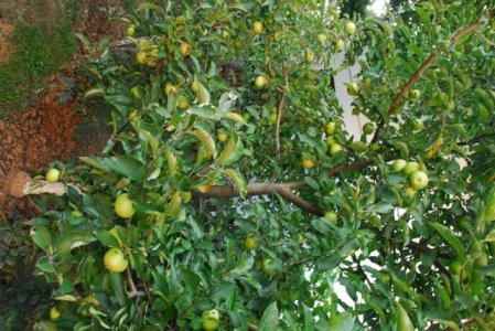 3_DSC8220 (Small).JPG