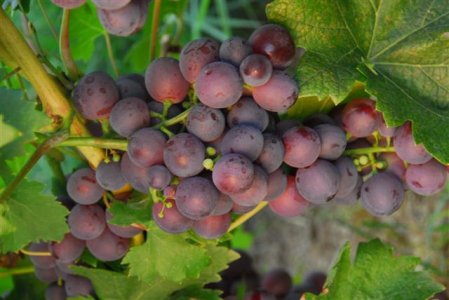 3_DSC8285 (Small).JPG