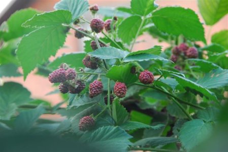 34_DSC8234 (Small).JPG