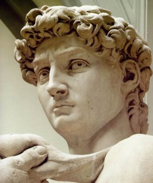 michelangelo_david_head.jpg michelangelo_david_head.jpg