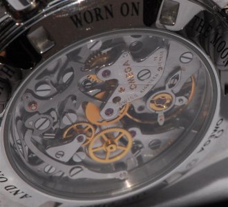 5_DSC8697 (Medium).jpg