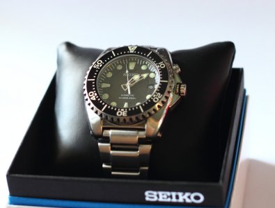 _MG_0917.JPG _MG_0917.JPG