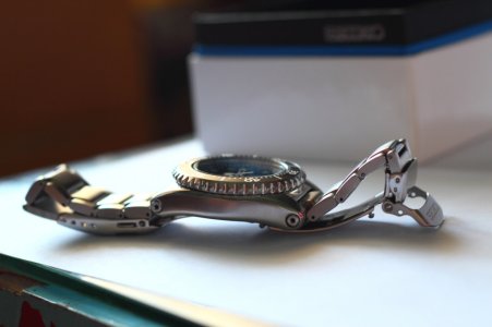 _MG_0942.JPG _MG_0942.JPG