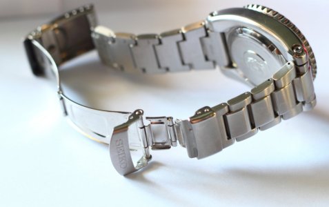 _MG_0966.JPG _MG_0966.JPG