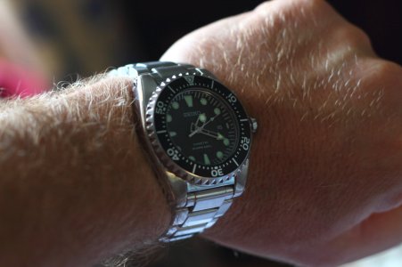 _MG_0976.JPG _MG_0976.JPG