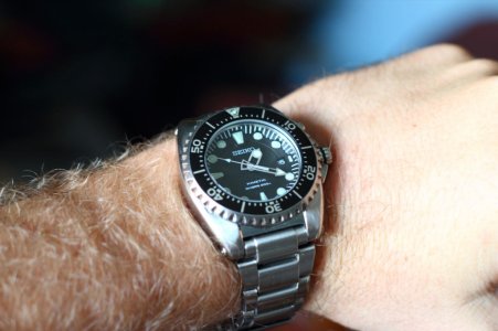 _MG_0980.JPG _MG_0980.JPG